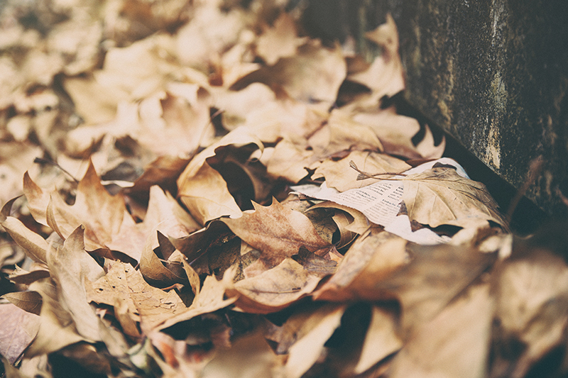 Winter getaway tips - Johnston Meier Insurance