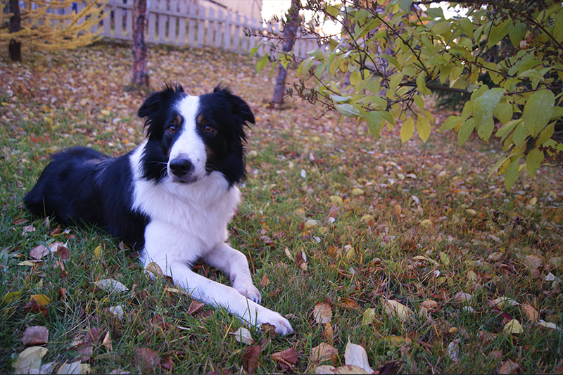 Winter getaway tips - Johnston Meier Insurance