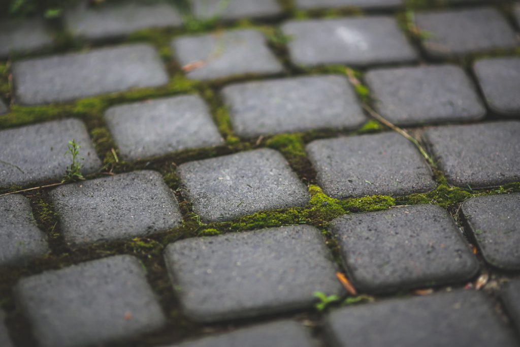make my backyard safer level paving - JM Insurance 
