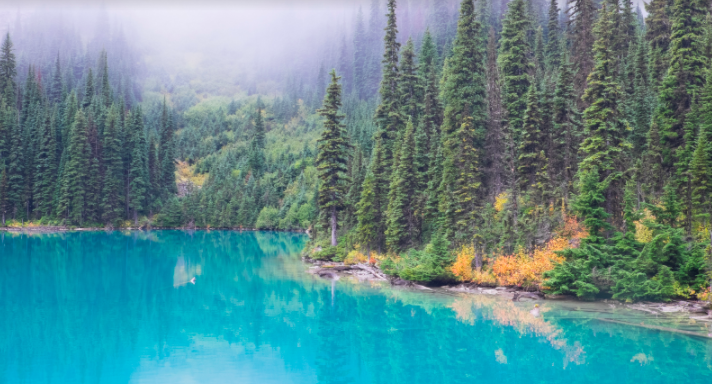 47 Tips for ‘Greening’ Your Small Business