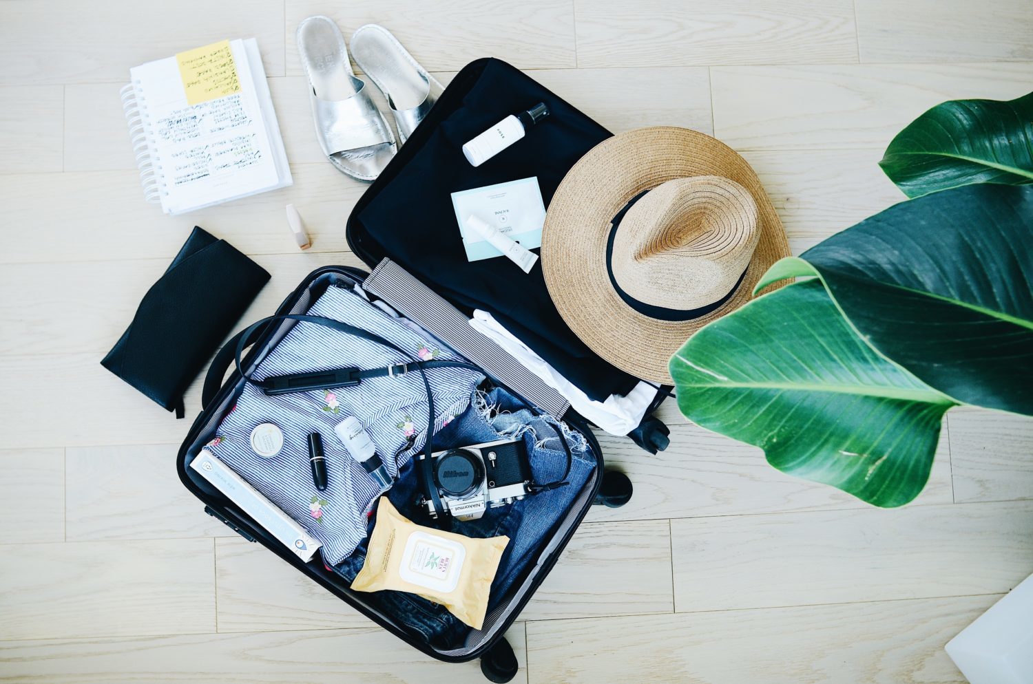 Summer Travel Essentials