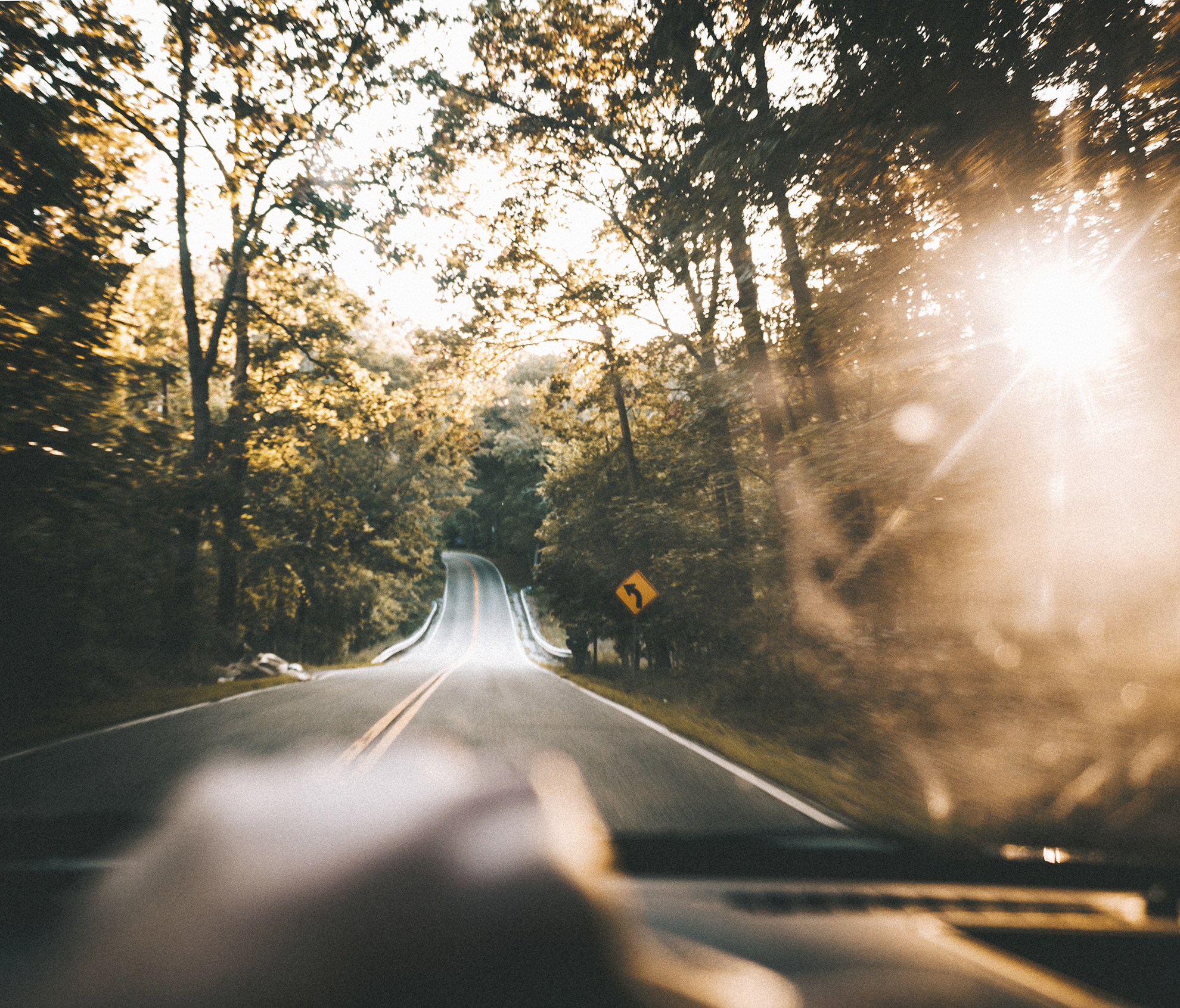 Empty tree-framed road