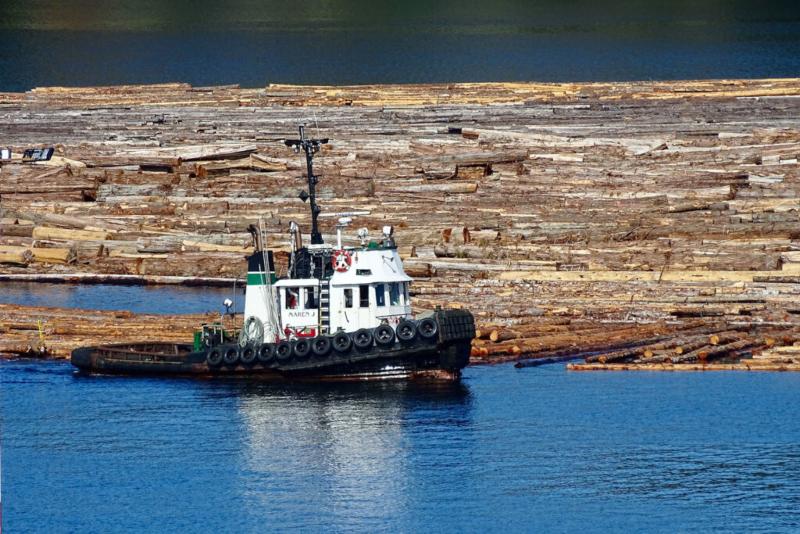 We have a large marine underwriting market available